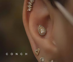 Image of Conch