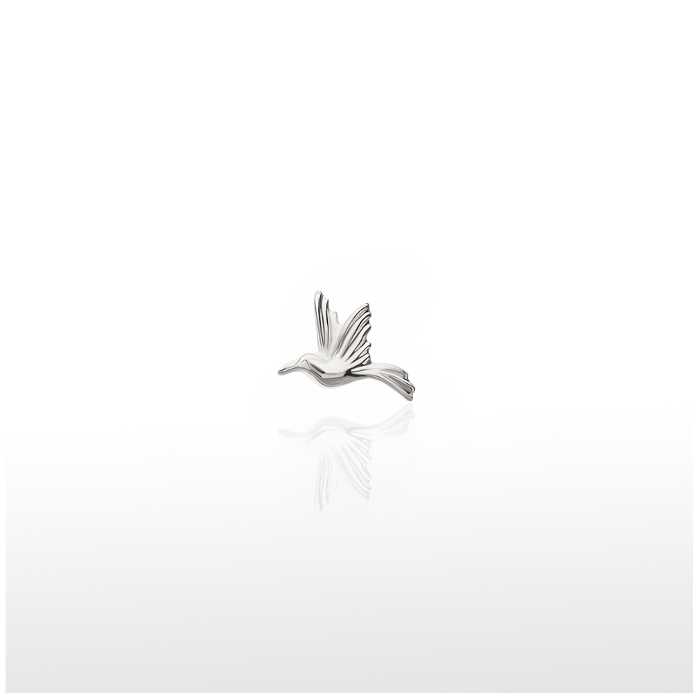 Image of Colibri