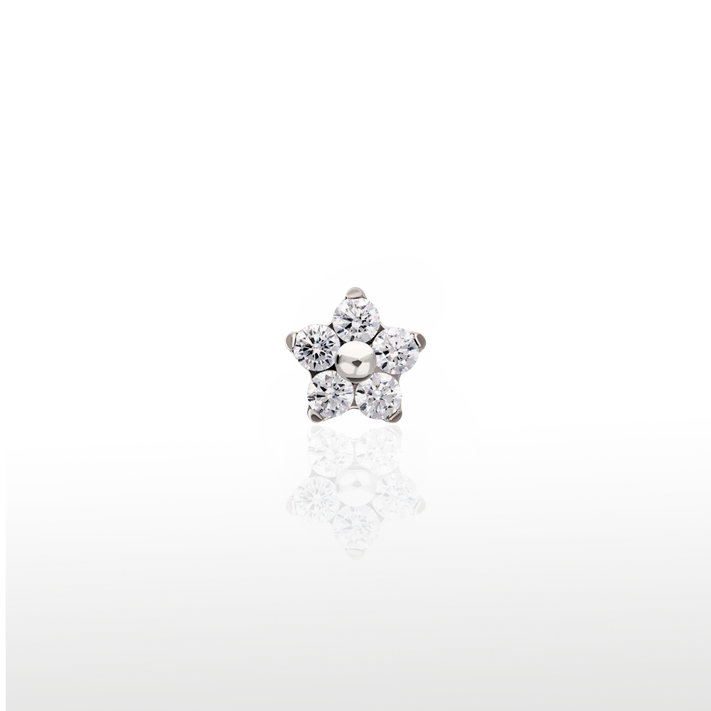 Image of Flor 5  Petalos Cz